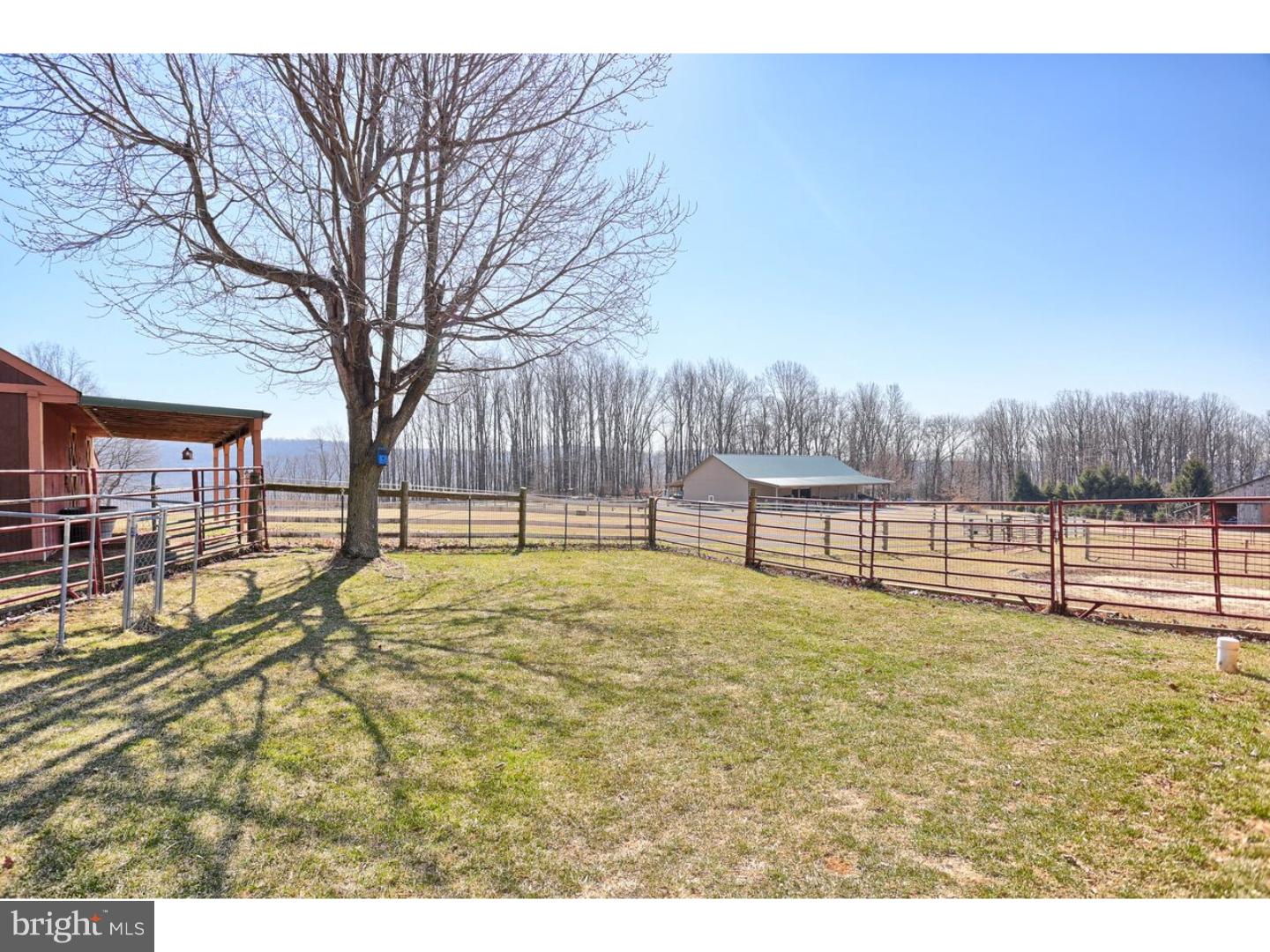 383 Keim Road Boyertown, PA 19512 - Photo 3 of 25 Back Yard