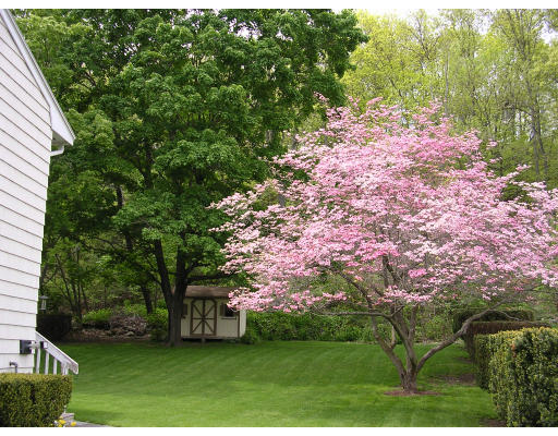 21 Mountain Road Burlington, MA 01803 - Photo 2 of 10 Gallery Image 2
