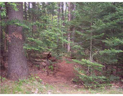 107 Hunter Road Freeport, ME 04032 - Photo 19 of 19 Exterior Front. private back yard...