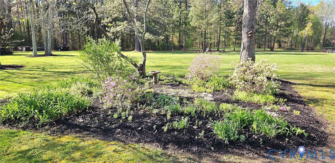 10511 Ashcake Road Ashland, VA 23005 - Photo 54 of 58 a view of a yard with trees