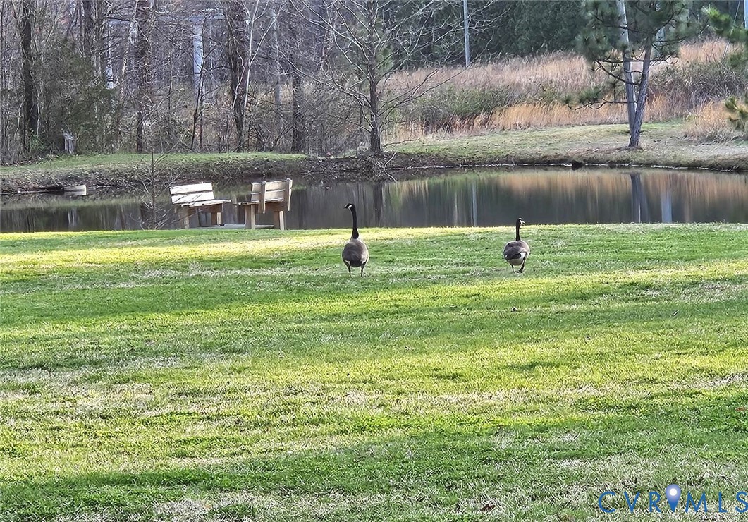 10511 Ashcake Road Ashland, VA 23005 - Photo 10 of 58