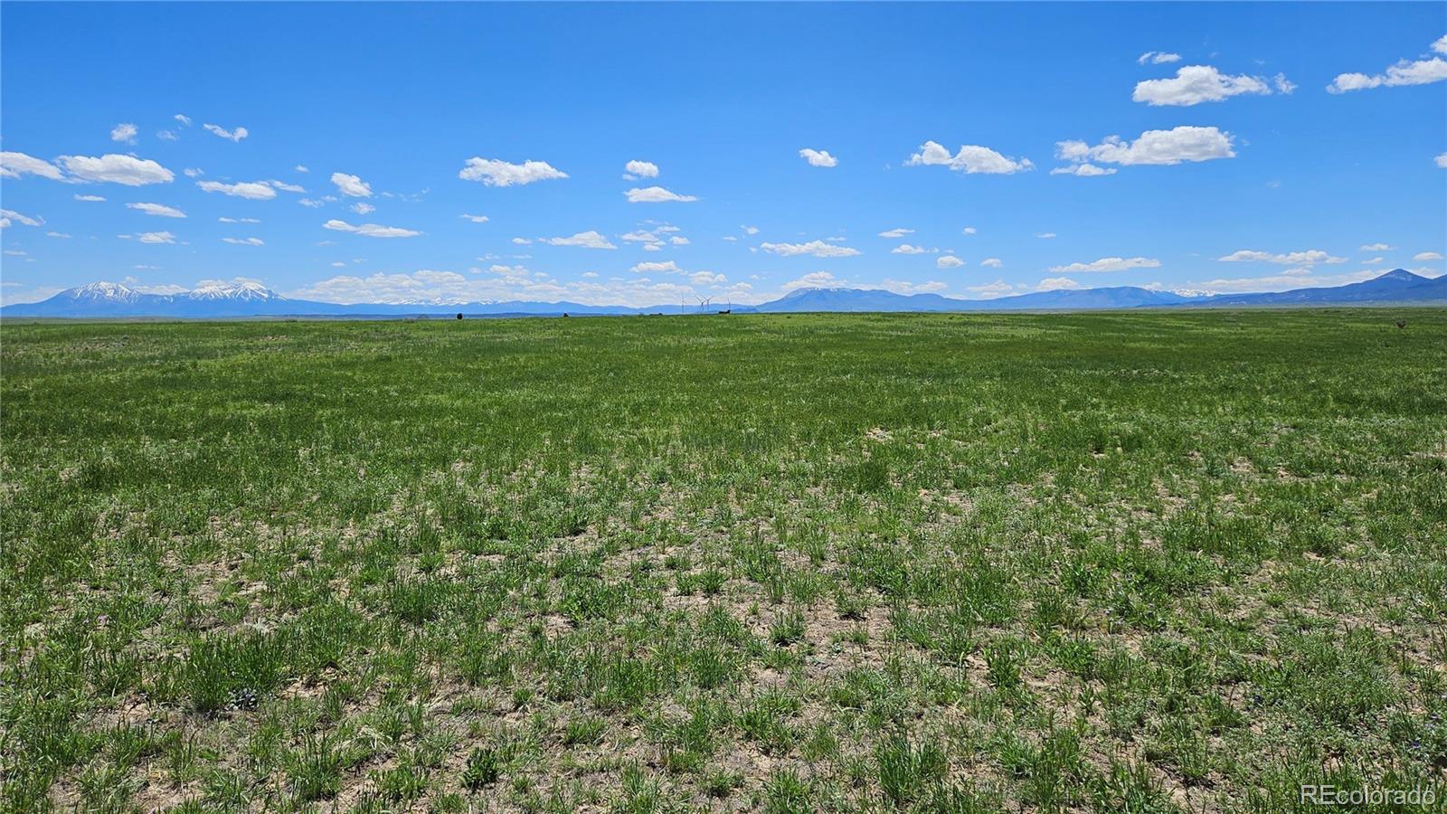 31 Colorado Land & Livestock Rye, CO 81069 - Photo 1 of 12 Gallery Image 1