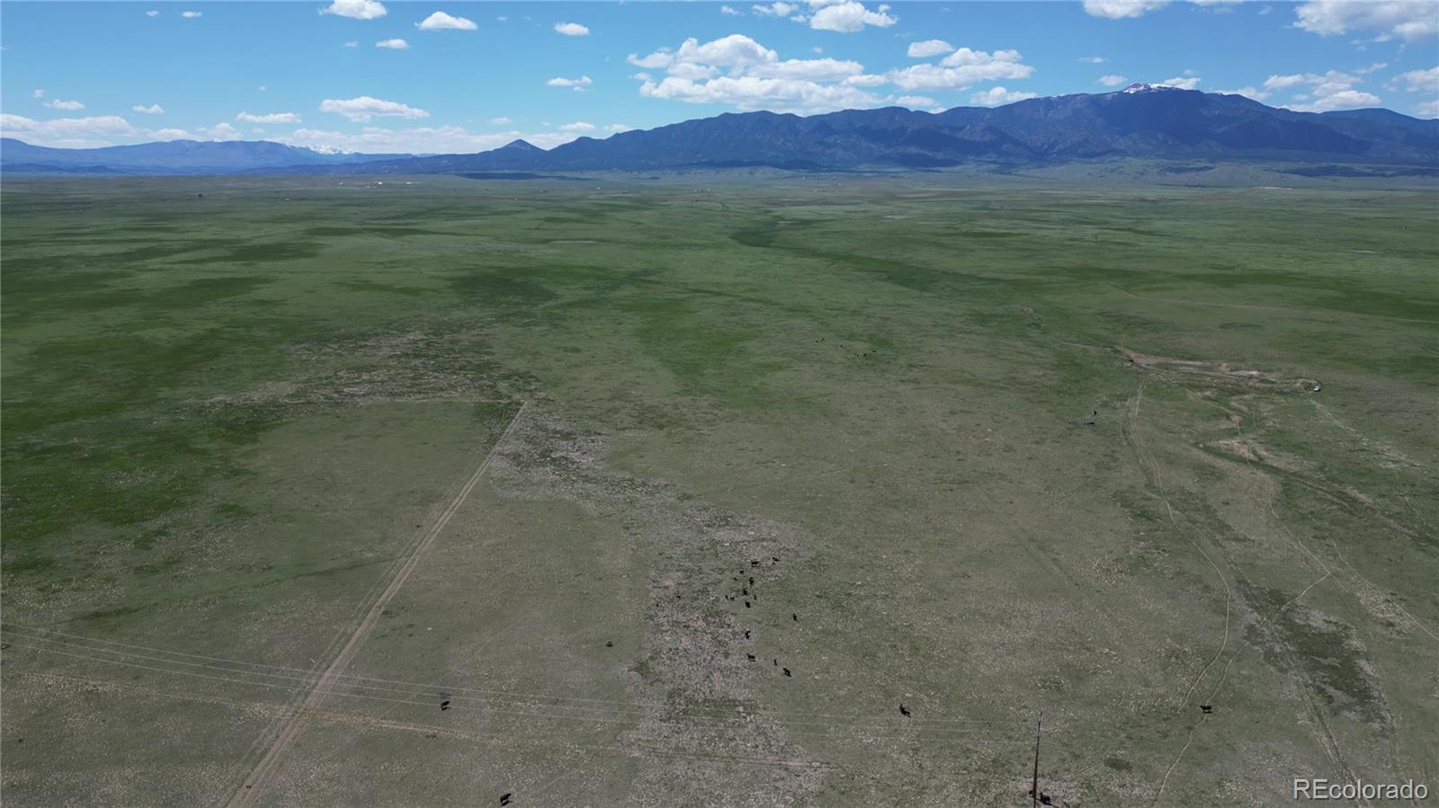 31 Colorado Land & Livestock Rye, CO 81069 - Photo 12 of 12 Gallery Image 12