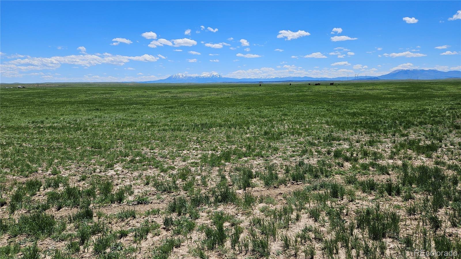 31 Colorado Land & Livestock Rye, CO 81069 - Photo 3 of 12 Gallery Image 3