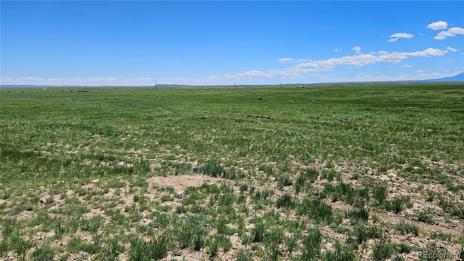 31 Colorado Land & Livestock Rye, CO 81069 - Photo 4 of 12 Gallery Image 4
