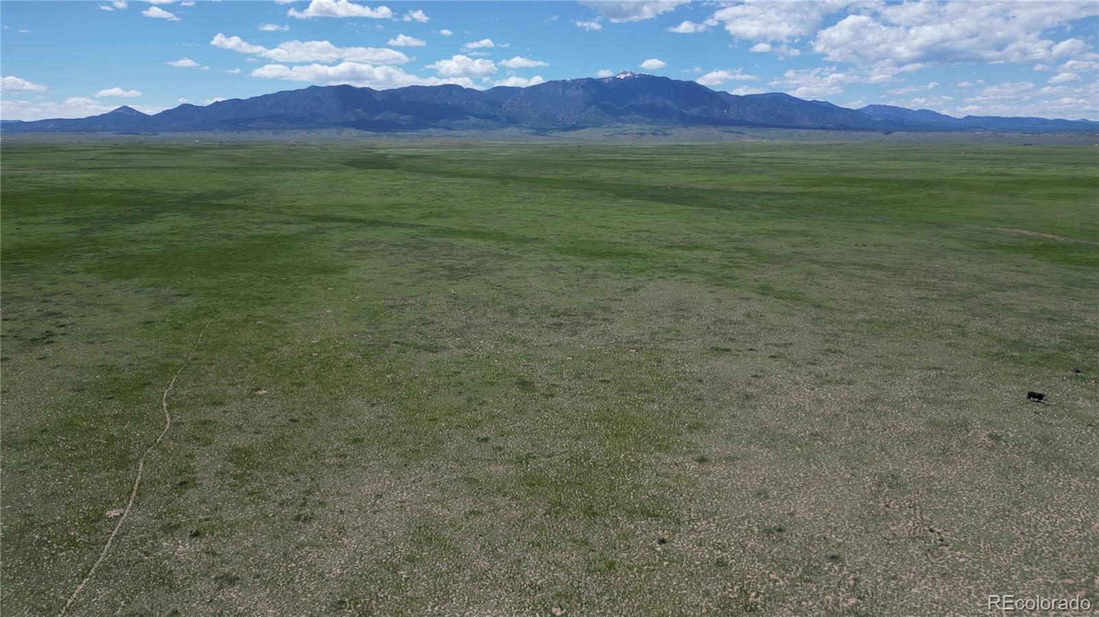 31 Colorado Land & Livestock Rye, CO 81069 - Photo 7 of 12 Gallery Image 7
