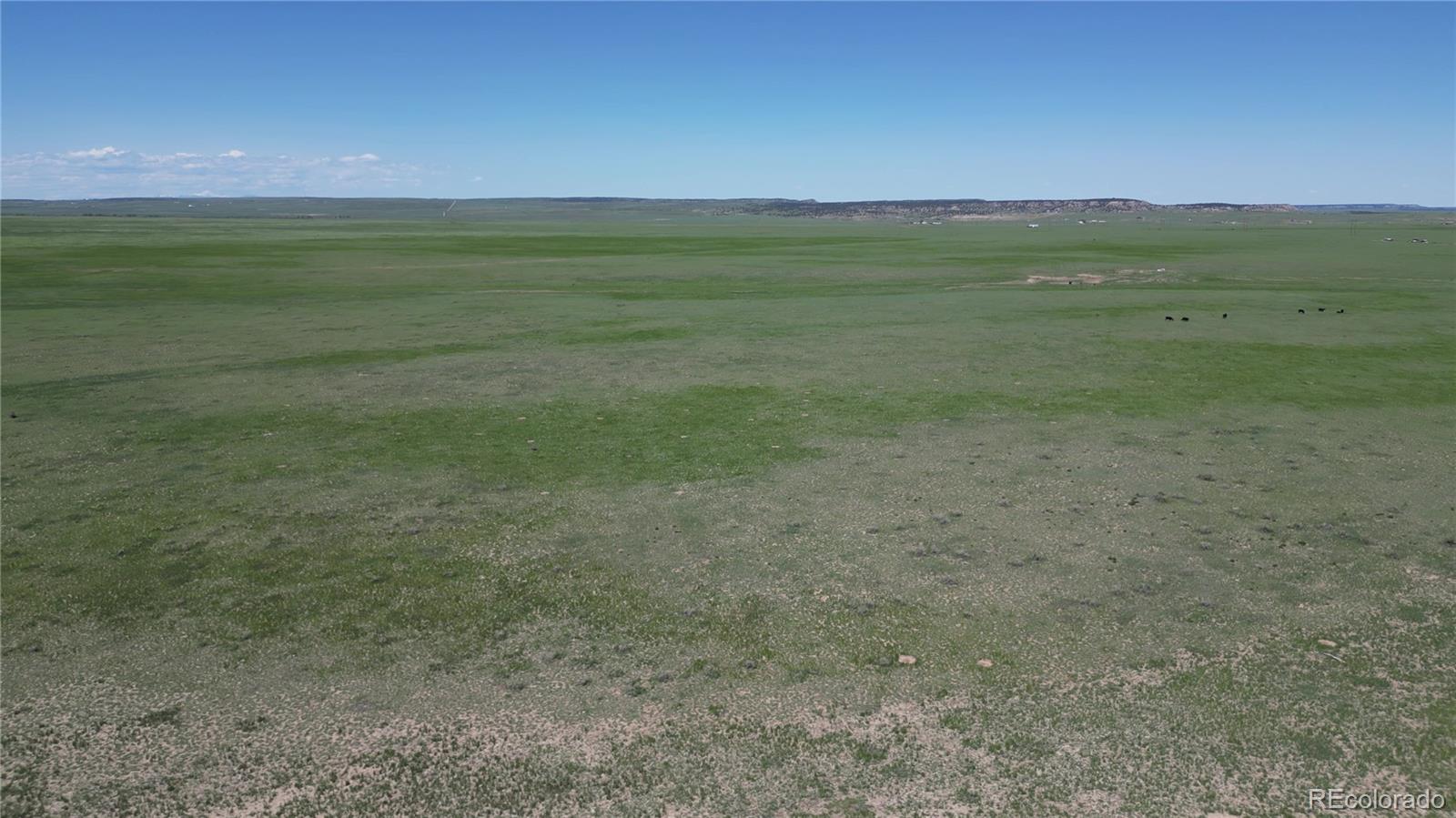 31 Colorado Land & Livestock Rye, CO 81069 - Photo 10 of 12 Gallery Image 10