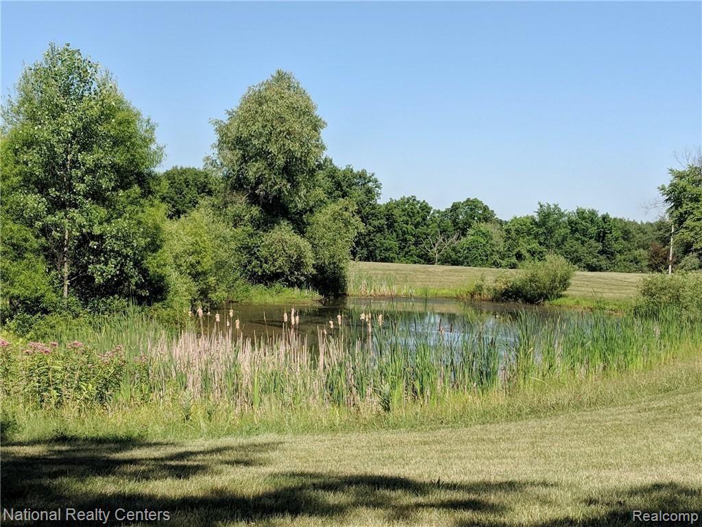 2922 North Lake George Road Dryden, MI 48428 - Photo 2 of 64 Summer Pond View. Peaceful sanctuary just outside your door... & Fishing!