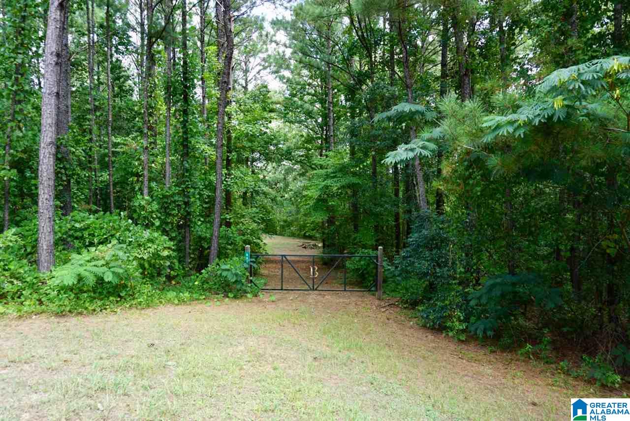893 Old Patton Ferry Road, Unit 2 Adger, AL 35006 - Photo 3 of 9