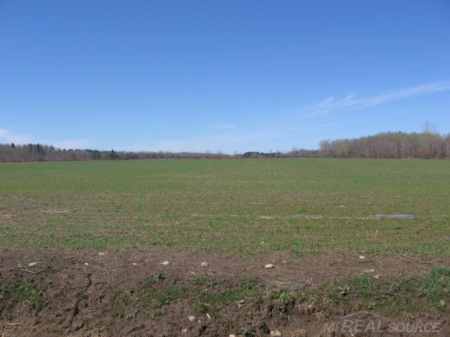 Vl North Ridge Road Carsonville, MI 48419 - Photo 4 of 10
