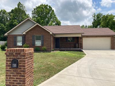 120 Timber Creek Road Maynardville, TN 37807 - Photo 2 of 23 thumbnail (19)