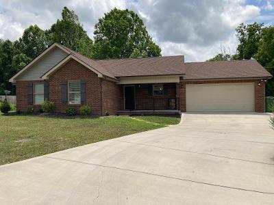 120 Timber Creek Road Maynardville, TN 37807 - Photo 4 of 23 thumbnail (17)