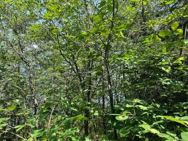 $139,900 | 2.04-ac 2.04-ac Grand View, Nekoosa, WI 54457