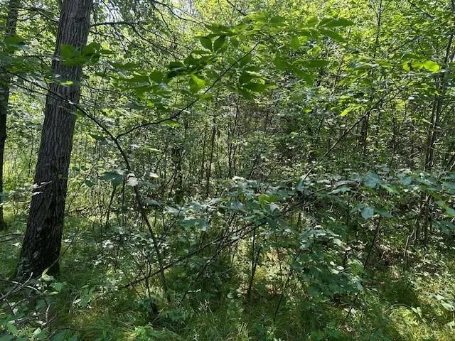 $139,900 | 2.04-ac 2.04-ac Grand View, Nekoosa, WI 54457