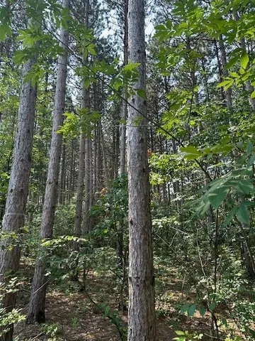 $139,900 | 2.04-ac 2.04-ac Grand View, Nekoosa, WI 54457