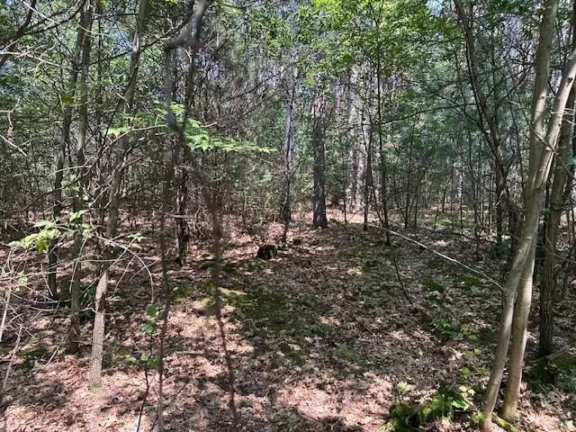 $139,900 | 2.04-ac 2.04-ac Grand View, Nekoosa, WI 54457