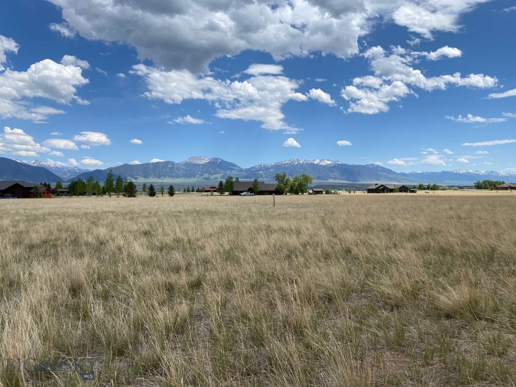 Lot 20 Pintail Ridge Ennis, MT 59729 - Photo 1 of 1 Gallery Image 1