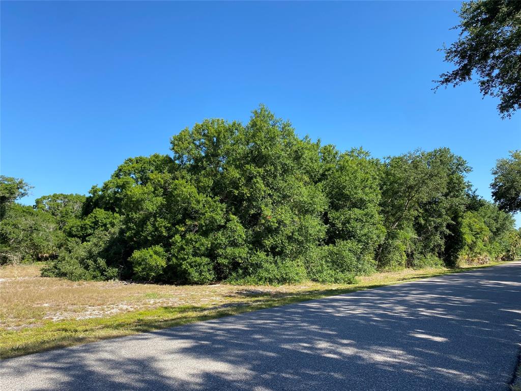 a view of a beach with a big yard