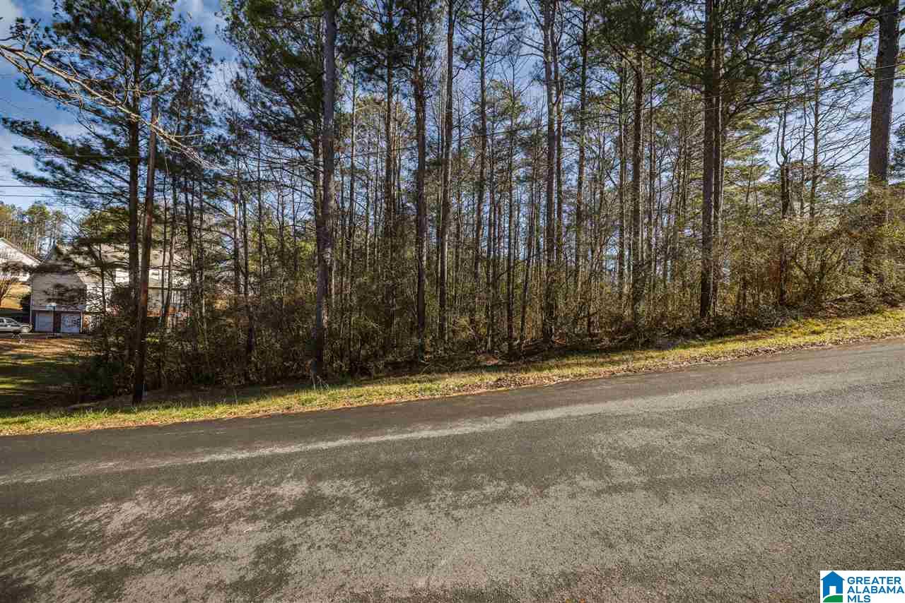 0 Scenic Trail, Unit 1 Oneonta, AL 35121 - Photo 3 of 18