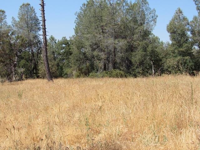 0 Lot 002 Italian Bar Road Twain Harte, CA 95383 - Photo 11 of 12 a view of snow covered with snow