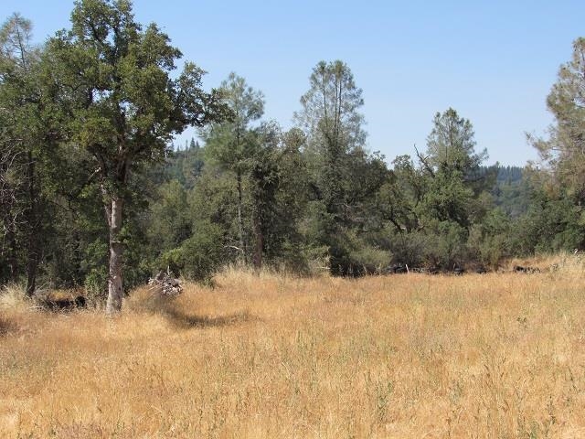 0 Lot 002 Italian Bar Road Twain Harte, CA 95383 - Photo 12 of 12 a view of a snow in a yard