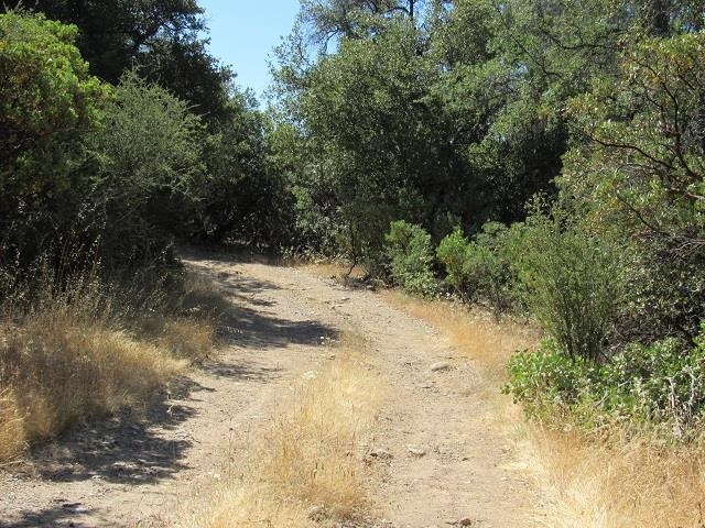 0 Lot 002 Italian Bar Road Twain Harte, CA 95383 - Photo 3 of 12 a view of a yard with a tree