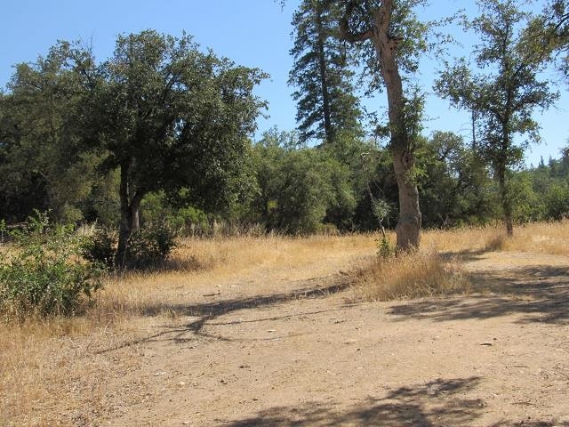 0 Lot 002 Italian Bar Road Twain Harte, CA 95383 - Photo 4 of 12 a view of a yard covered with snow