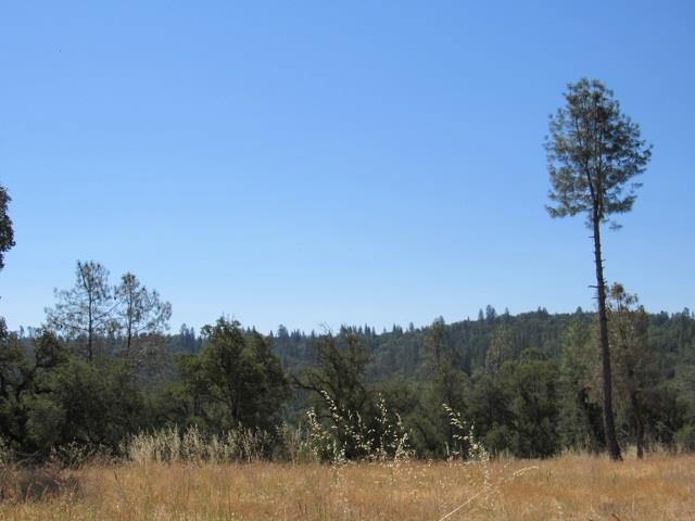 0 Lot 002 Italian Bar Road Twain Harte, CA 95383 - Photo 6 of 12 a view of a forest with a mountain in the background