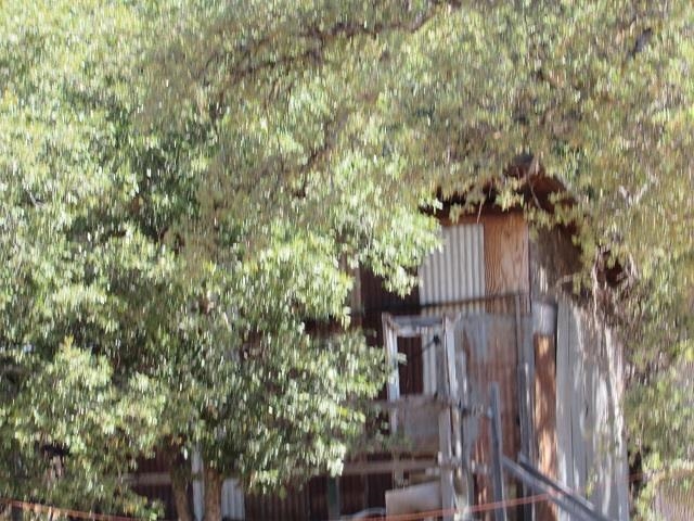 0 Lot 002 Italian Bar Road Twain Harte, CA 95383 - Photo 7 of 12 a view of a house with a tree