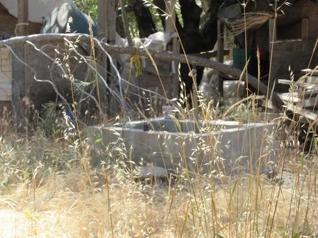 a view of a yard with an outdoor space