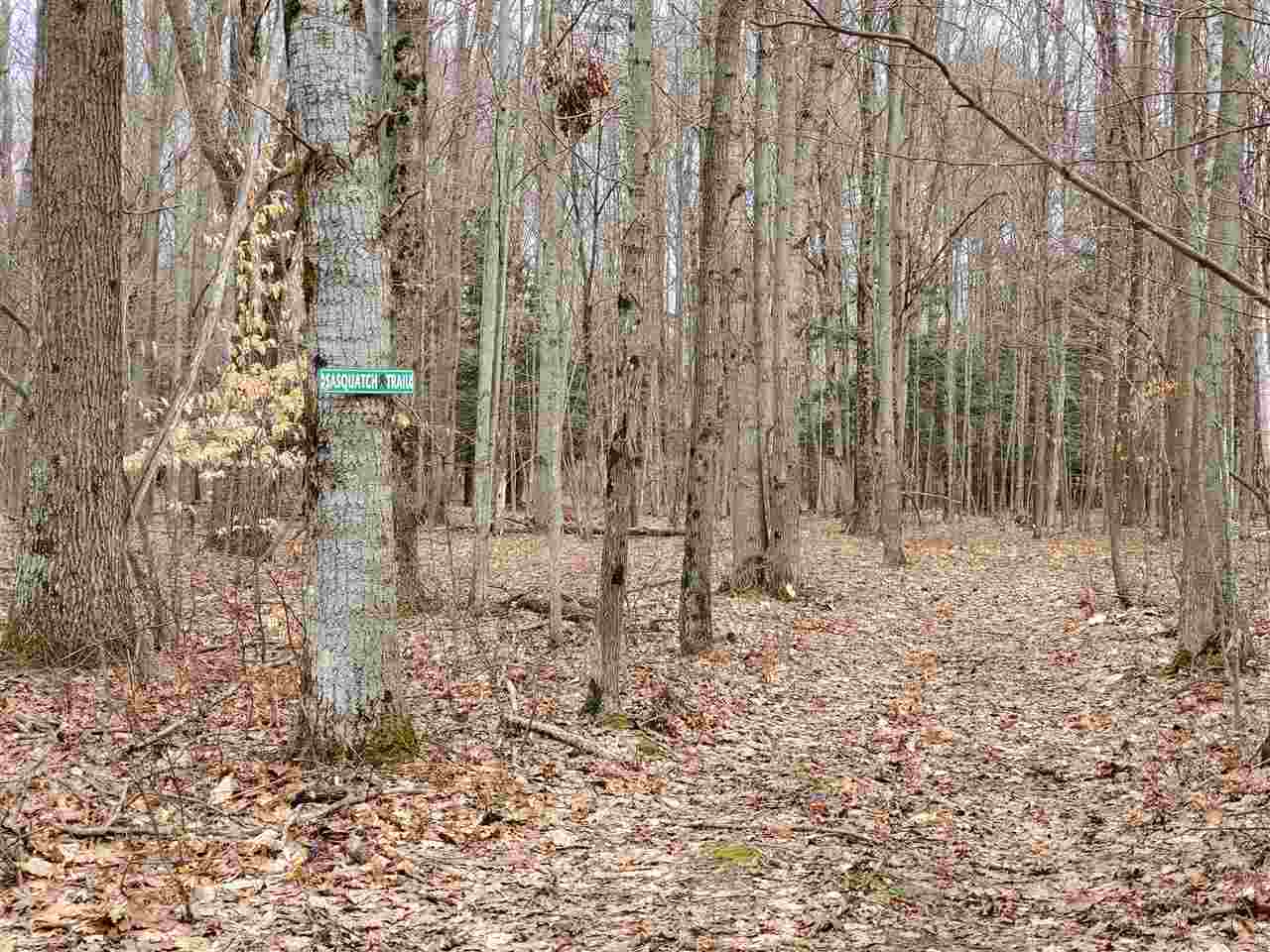 12262 Kerry Road Brethren, MI 49619 - Photo 69 of 95 1885414-68.JPG