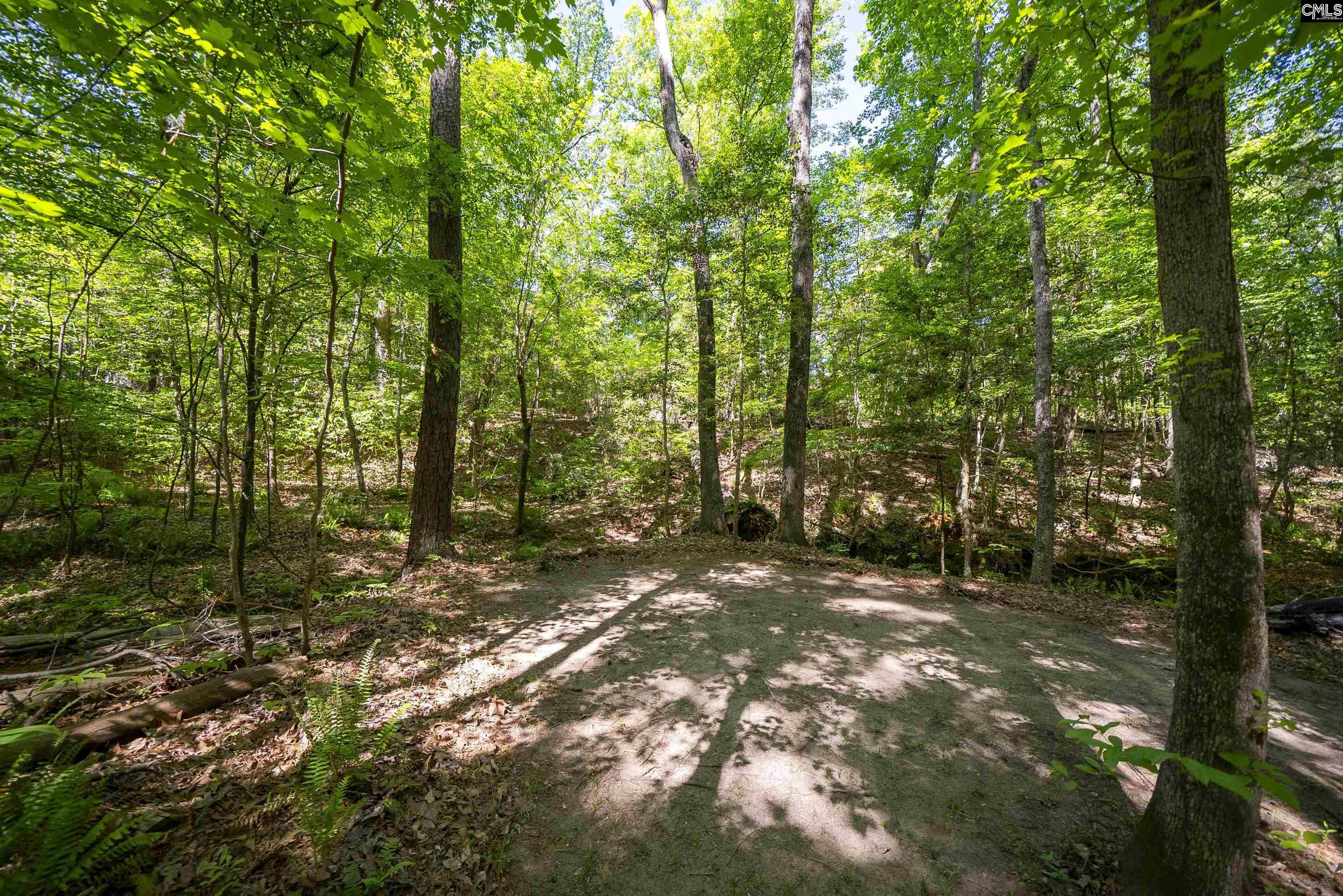 102 Warner Woods Road Lexington, SC 29072 - Photo 39 of 49