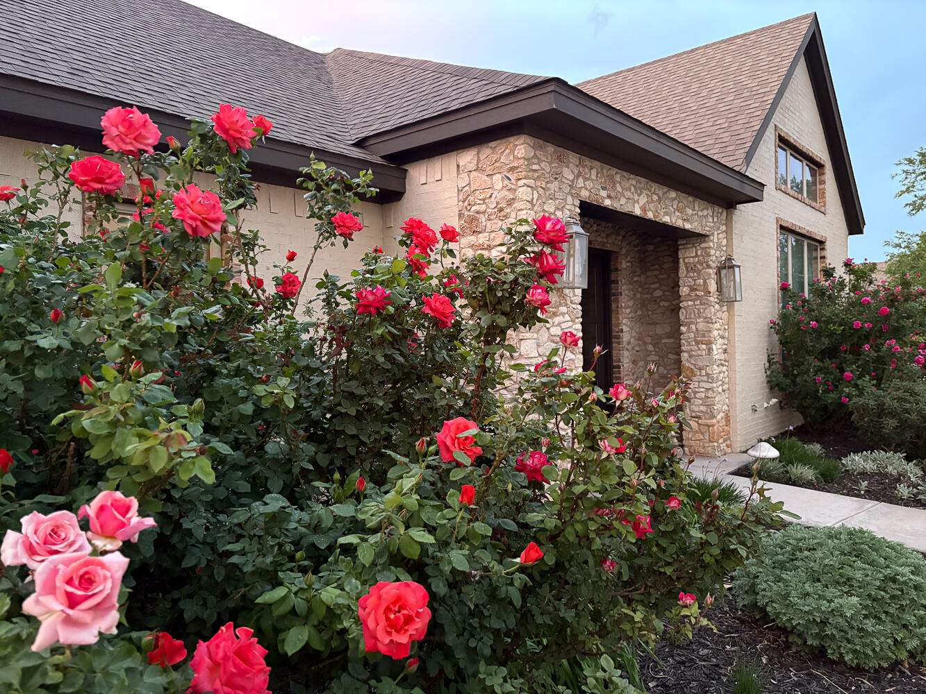 5902 112th Street Lubbock, TX 79424 - Photo 42 of 45 a view of a flower in front of flowers