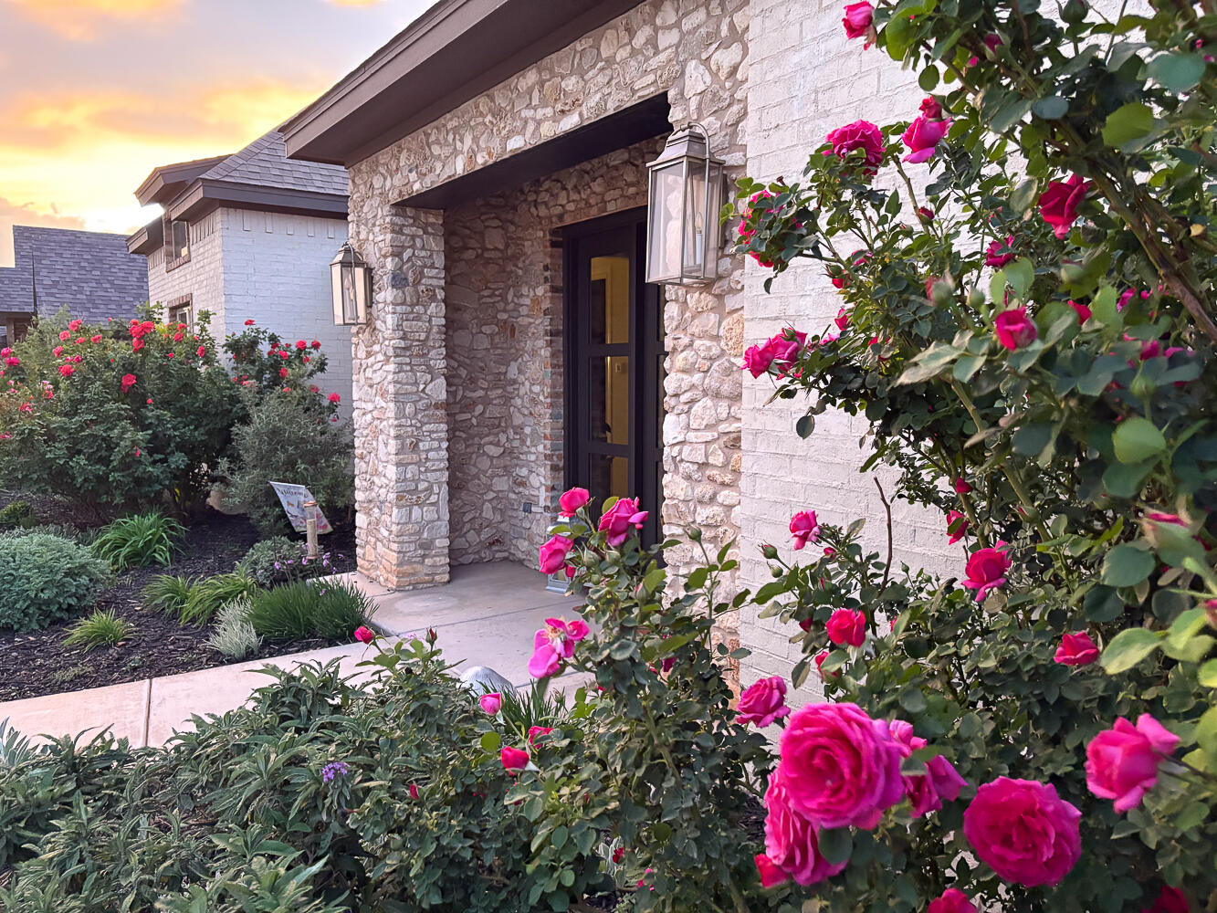5902 112th Street Lubbock, TX 79424 - Photo 43 of 45 a flower plants sitting in front of a house