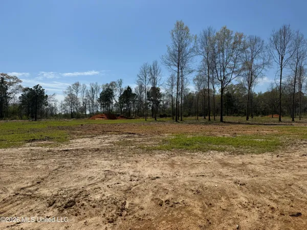 $34,900 | Lot 9 Oakley Lane, Lucedale, MS 39452