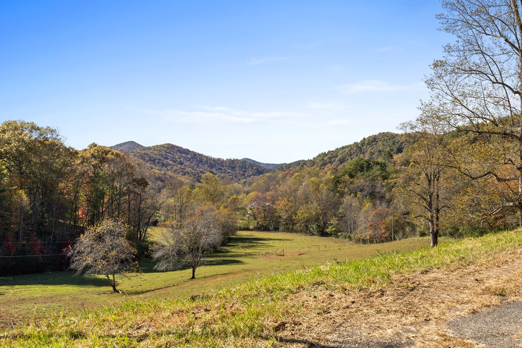 492 Johnny Gap Road Suches, GA 30572 - Photo 16 of 16 a view of a yard with mountain