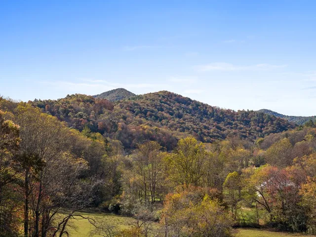 a view of a mountain in the distance in a field