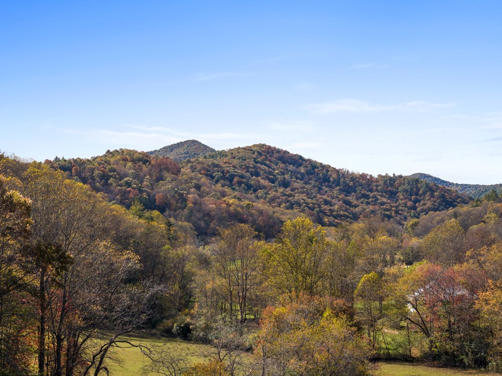 492 Johnny Gap Road Suches, GA 30572 - Photo 3 of 16 a view of a mountain in the distance in a field