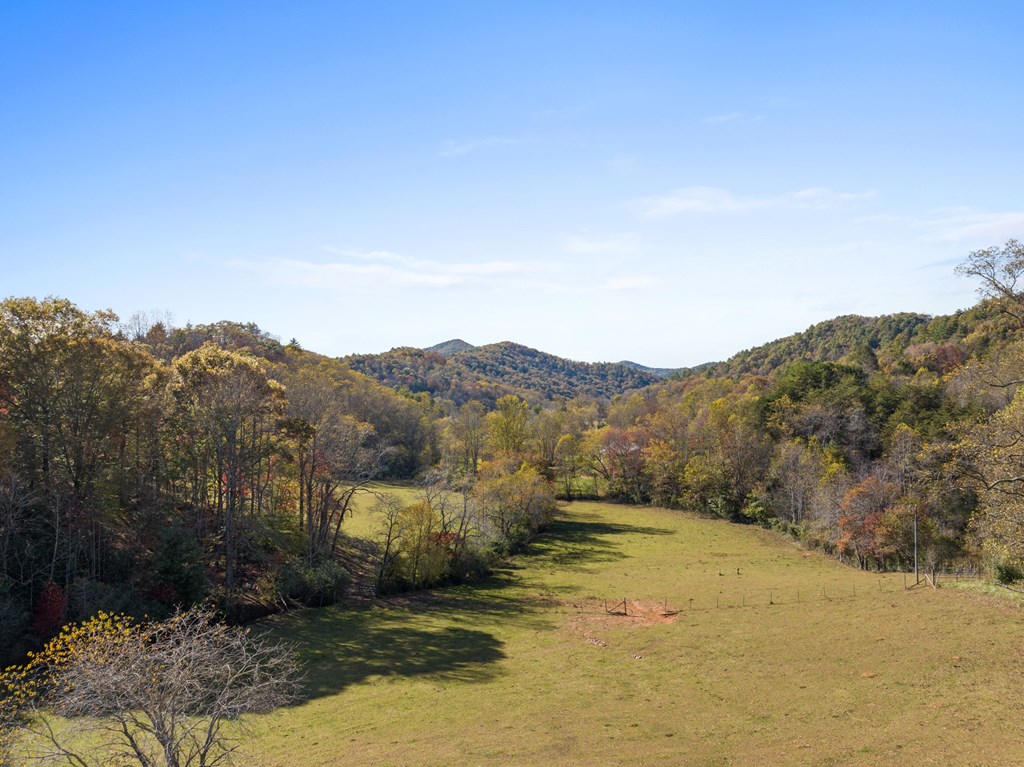 492 Johnny Gap Road Suches, GA 30572 - Photo 4 of 16 a view of a lake with mountains in the background