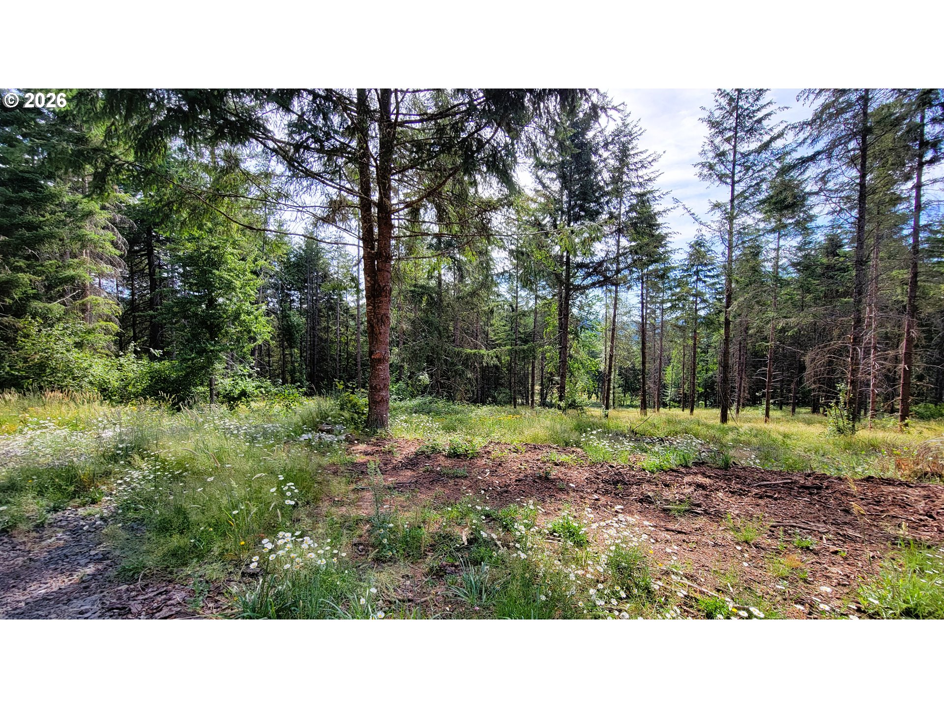 Branch Road, Unit 108 Eugene, OR 97402 - Photo 3 of 18