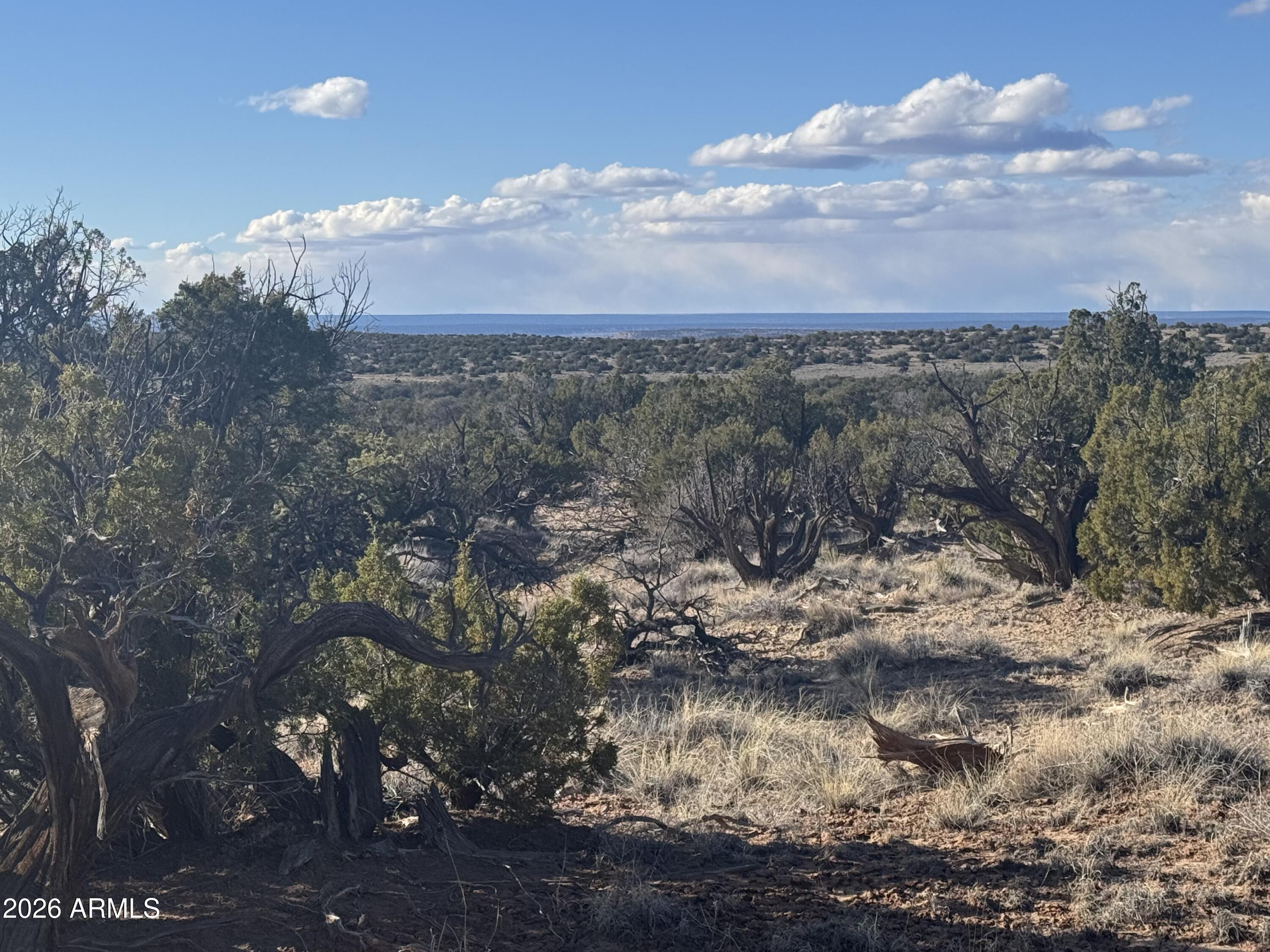 Lot 93 Red Sky Ranch, Unit 93 St. Johns, AZ 85936 - Photo 6 of 15 a view of a lake with lots of trees