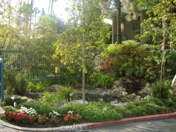 a view of a garden with plants
