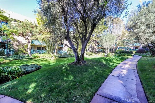 a view of a yard with plants and large trees