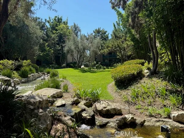 a view of a garden with plants and large trees