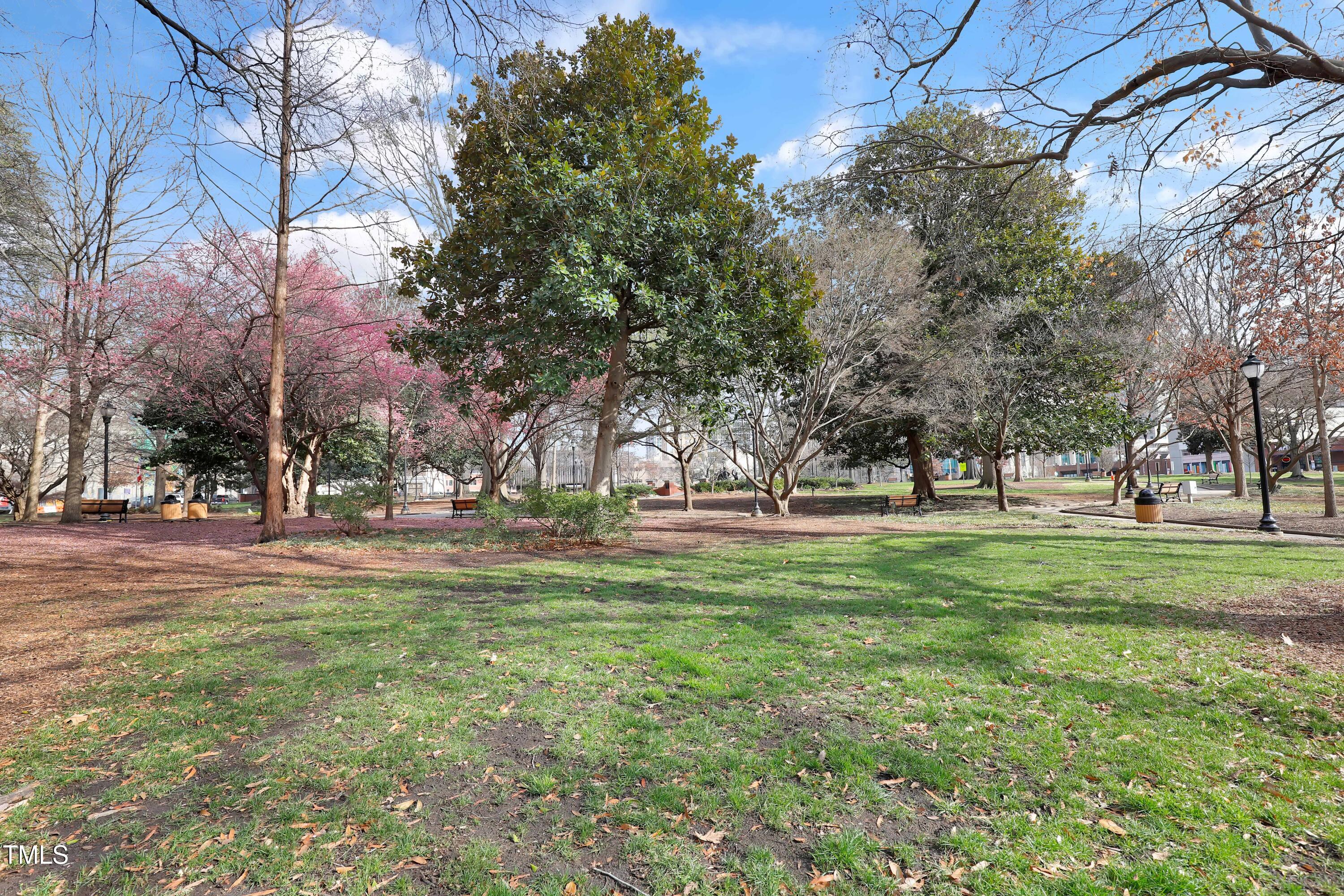 200 South Dawson Street, Unit 103 Raleigh, NC 27601 - Photo 17 of 28 17