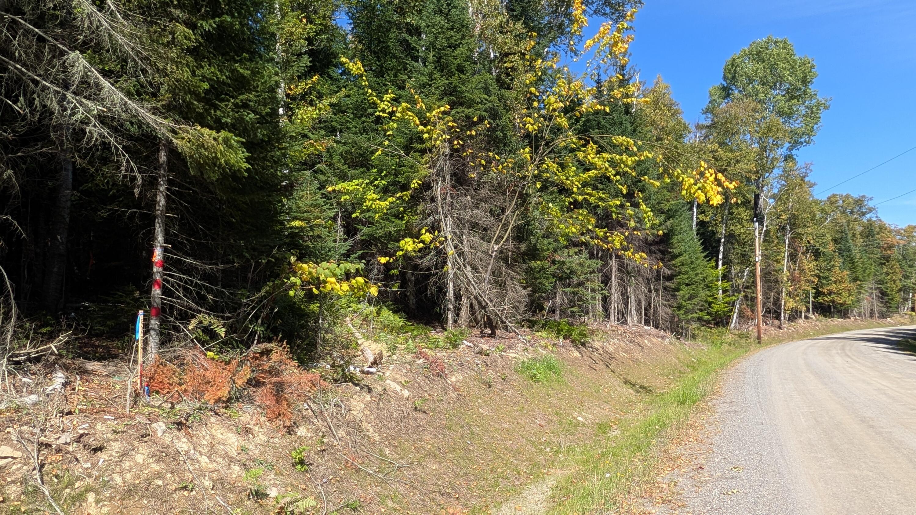 4 Dodge Pond Road Rangeley, ME 04970 - Photo 1 of 1 Blueberry Ridge Lot 4 Roadside View
