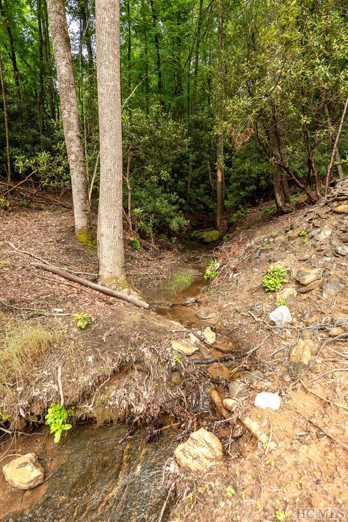 Lot 2 Sapphire Ridge Road Sapphire, NC 28774 - Photo 15 of 42 Gallery Image 15
