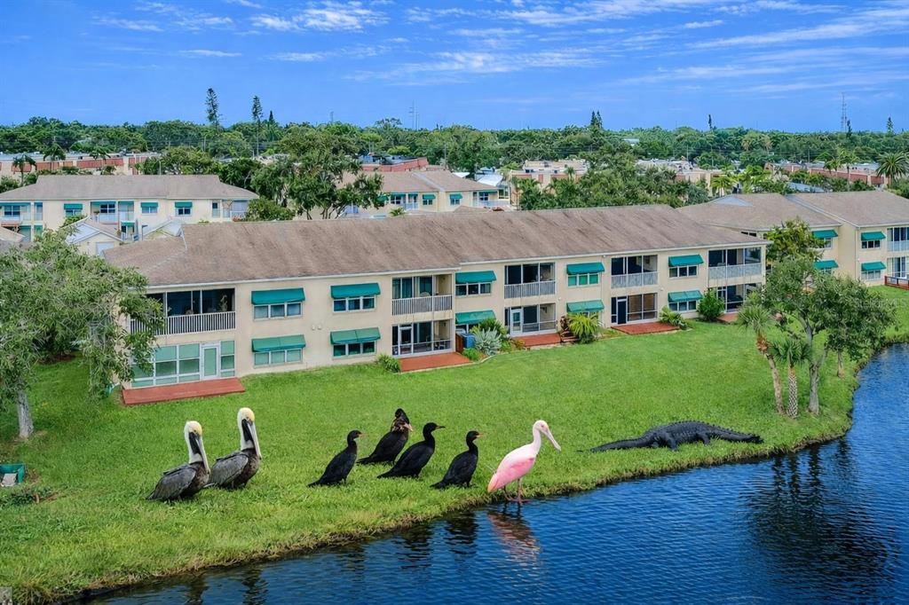 6363 99th Way North, Unit 12I St. Petersburg, FL 33708 - Photo 37 of 69