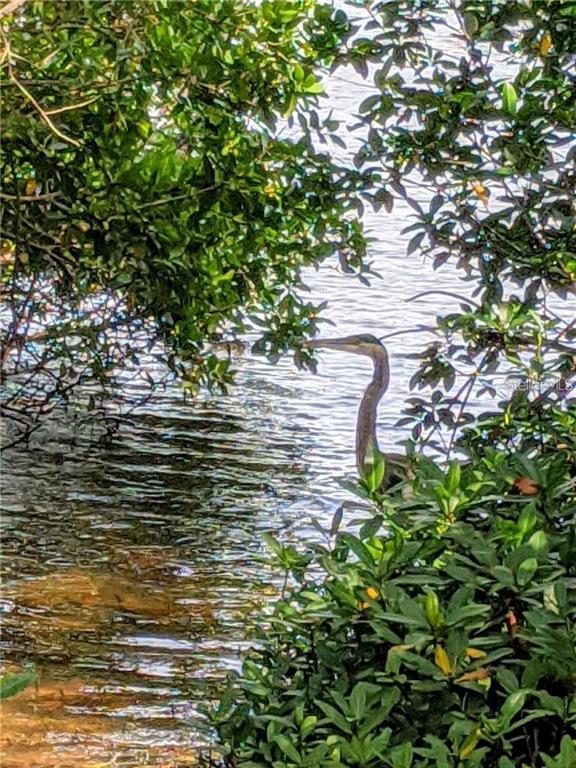 6363 99th Way North, Unit 12I St. Petersburg, FL 33708 - Photo 43 of 69