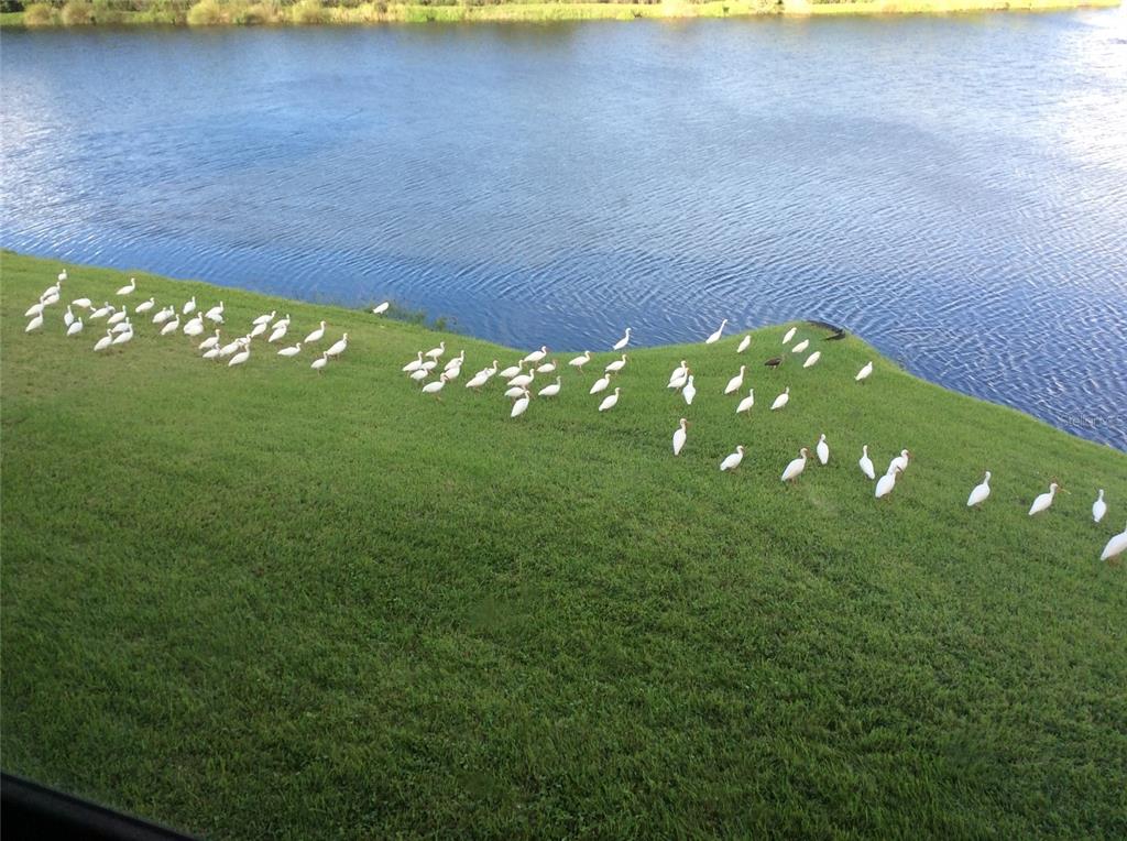 6363 99th Way North, Unit 12I St. Petersburg, FL 33708 - Photo 47 of 69